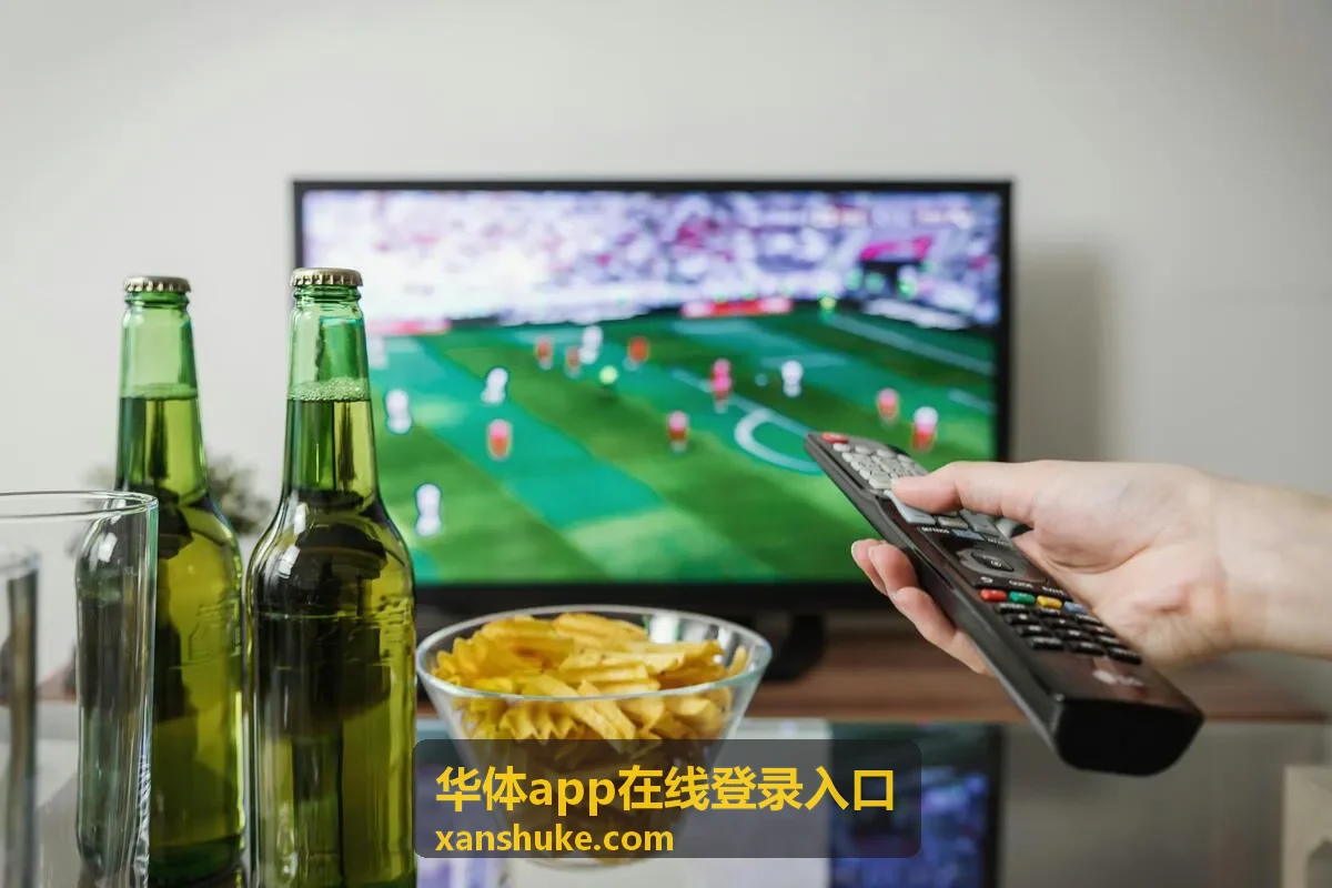华体app在线登录入口的账号密码与验证码填写界面